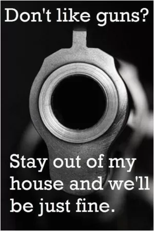 Don't like guns? Stay out of my house and we'll be just fine Picture Quote #1
