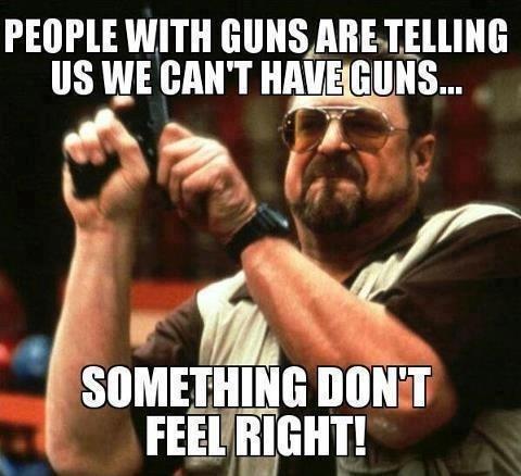 People with guns are telling us we can't have guns. Something don't feel right! Picture Quote #1
