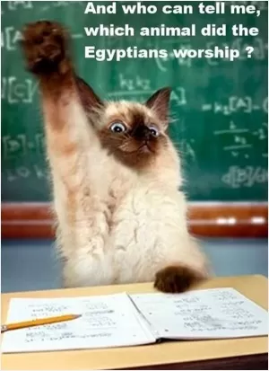 And who can tell me, which animal did the Egyptians worship? Picture Quote #1