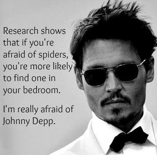 Research shows that if you're afraid of spiders you're more likely to find one in the bedroom. I'm really afraid of Johnny Depp Picture Quote #1