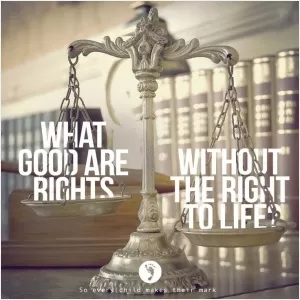 What good are rights without the right to life Picture Quote #1