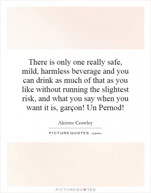 There is only one really safe, mild, harmless beverage and you can drink as much of that as you like without running the slightest risk, and what you say when you want it is, garçon! Un Pernod! Picture Quote #1