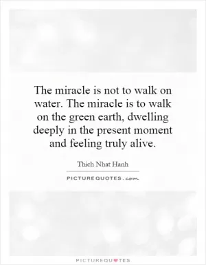 The miracle is not to walk on water. The miracle is to walk on the green earth, dwelling deeply in the present moment and feeling truly alive Picture Quote #1