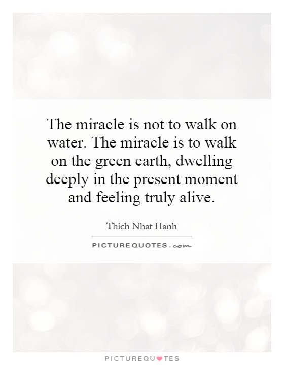 The miracle is not to walk on water. The miracle is to walk on the green earth, dwelling deeply in the present moment and feeling truly alive Picture Quote #1