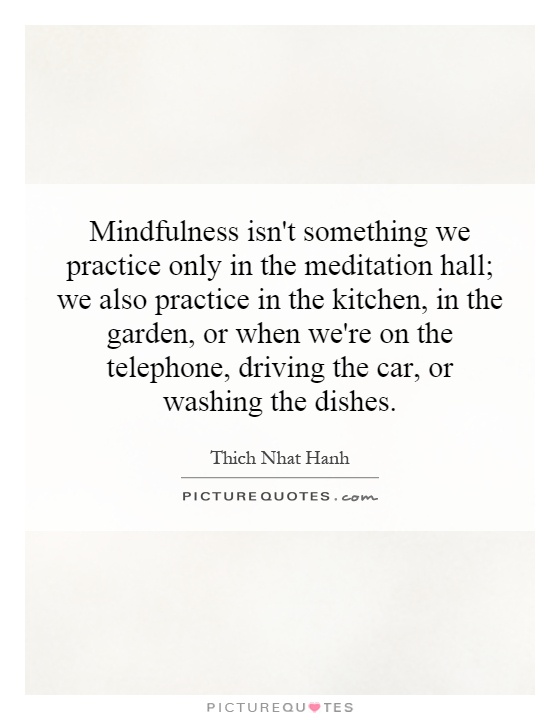 Mindfulness isn't something we practice only in the meditation hall; we also practice in the kitchen, in the garden, or when we're on the telephone, driving the car, or washing the dishes Picture Quote #1