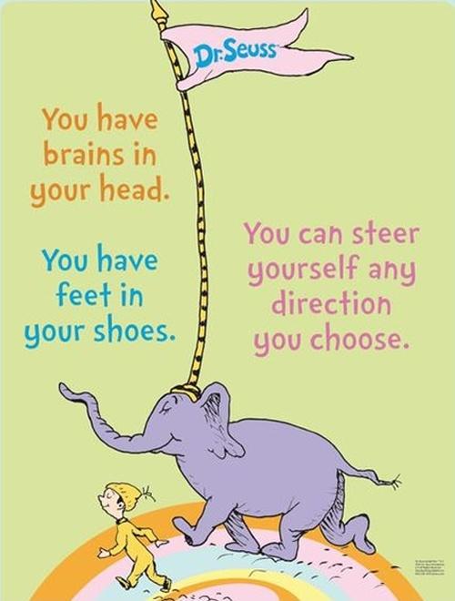 You have brains in your head. You have feet in your shoes. You can steer yourself any direction you choose Picture Quote #1