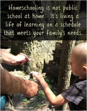 Homeschooling is not public school at home. It's living a life of learning on a schedule that meets your family's needs Picture Quote #1