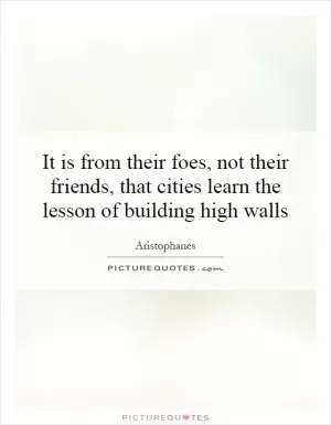 It is from their foes, not their friends, that cities learn the lesson of building high walls Picture Quote #1