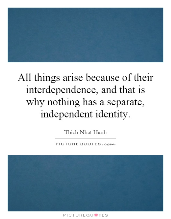 All things arise because of their interdependence, and that is why nothing has a separate, independent identity Picture Quote #1