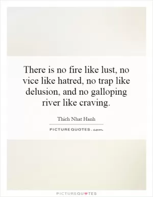 There is no fire like lust, no vice like hatred, no trap like delusion, and no galloping river like craving Picture Quote #1