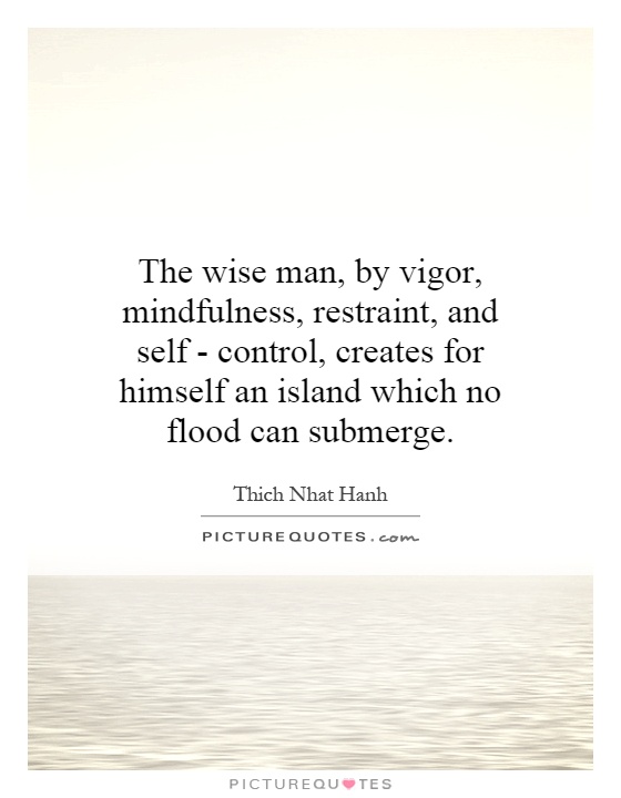 The wise man, by vigor, mindfulness, restraint, and self - control, creates for himself an island which no flood can submerge Picture Quote #1