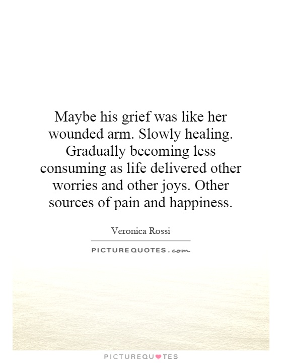 Maybe his grief was like her wounded arm. Slowly healing. Gradually becoming less consuming as life delivered other worries and other joys. Other sources of pain and happiness Picture Quote #1