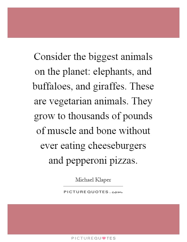 Consider the biggest animals on the planet: elephants, and buffaloes, and giraffes. These are vegetarian animals. They grow to thousands of pounds of muscle and bone without ever eating cheeseburgers and pepperoni pizzas Picture Quote #1