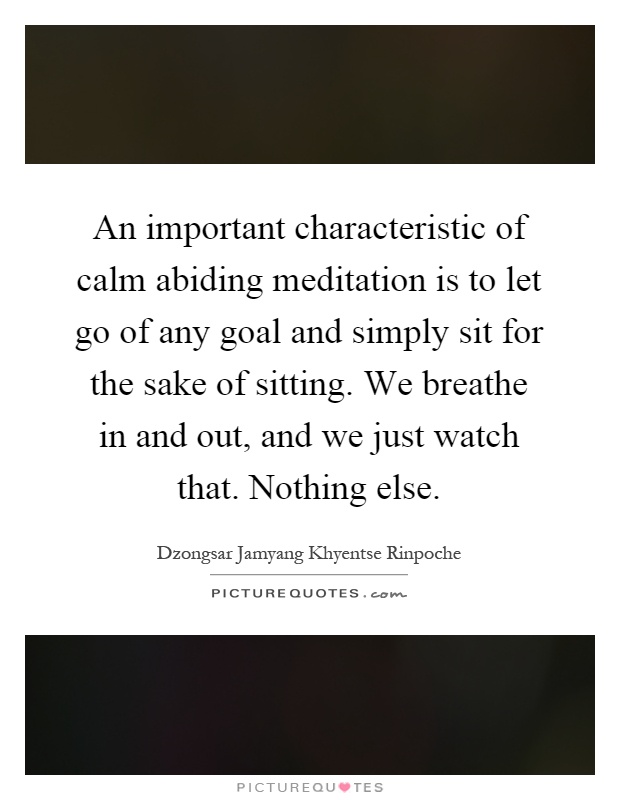An important characteristic of calm abiding meditation is to let go of any goal and simply sit for the sake of sitting. We breathe in and out, and we just watch that. Nothing else Picture Quote #1