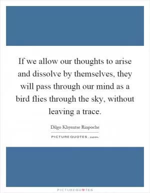 If we allow our thoughts to arise and dissolve by themselves, they will pass through our mind as a bird flies through the sky, without leaving a trace Picture Quote #1