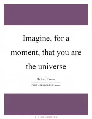 Imagine, for a moment, that you are the universe Picture Quote #1