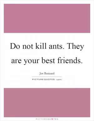 Do not kill ants. They are your best friends Picture Quote #1