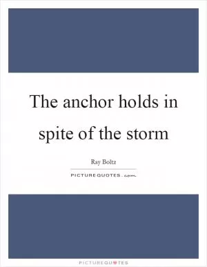 The anchor holds in spite of the storm Picture Quote #1