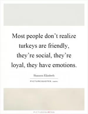 Most people don’t realize turkeys are friendly, they’re social, they’re loyal, they have emotions Picture Quote #1
