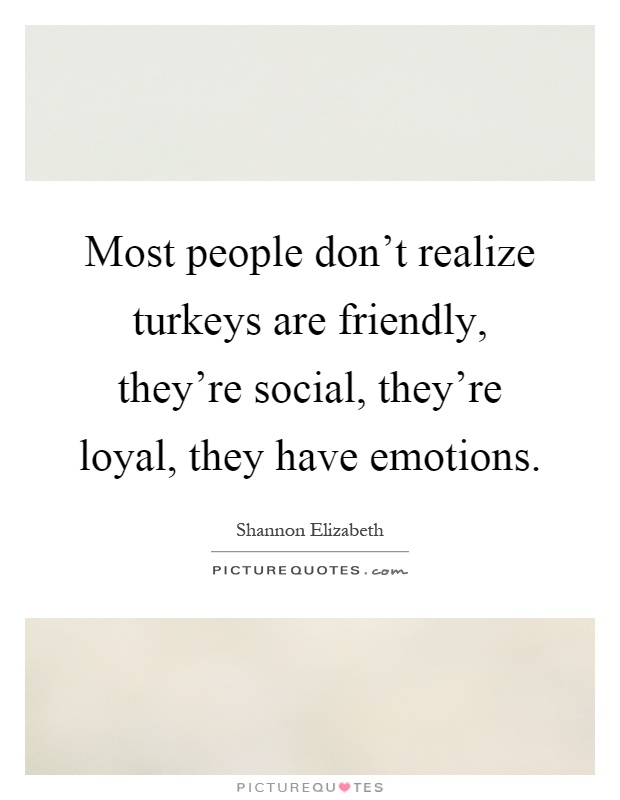 Most people don't realize turkeys are friendly, they're social, they're loyal, they have emotions Picture Quote #1