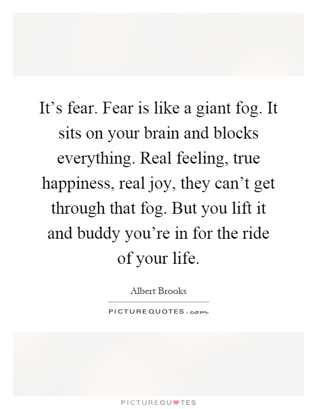 It's fear. Fear is like a giant fog. It sits on your brain and blocks everything. Real feeling, true happiness, real joy, they can't get through that fog. But you lift it and buddy you're in for the ride of your life Picture Quote #1