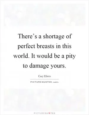 There’s a shortage of perfect breasts in this world. It would be a pity to damage yours Picture Quote #1