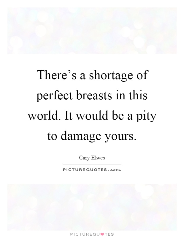 There's a shortage of perfect breasts in this world. It would be a pity to damage yours Picture Quote #1