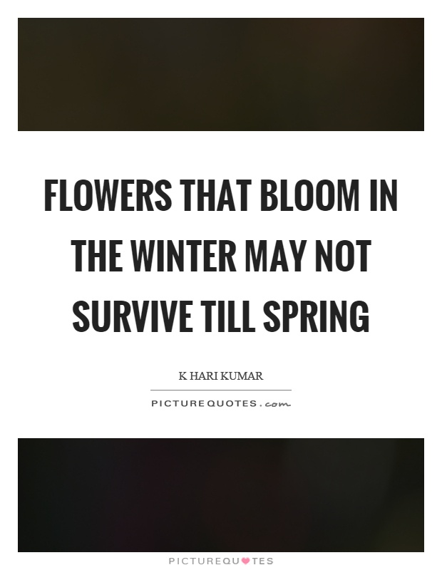 Flowers that bloom in the winter may not survive till spring Picture Quote #1