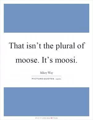 That isn’t the plural of moose. It’s moosi Picture Quote #1