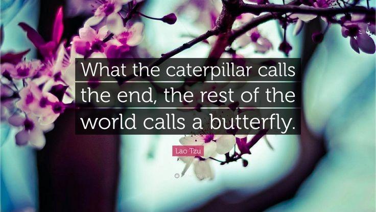 What the caterpillar calls the end, the rest of the world calls a butterfly Picture Quote #1