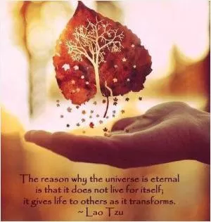 The reason why the universe is eternal is that it does not live for itself; it gives life to others as it transforms Picture Quote #1