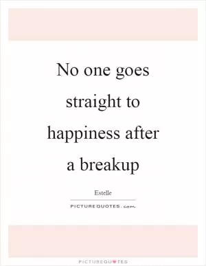 No one goes straight to happiness after a breakup Picture Quote #1