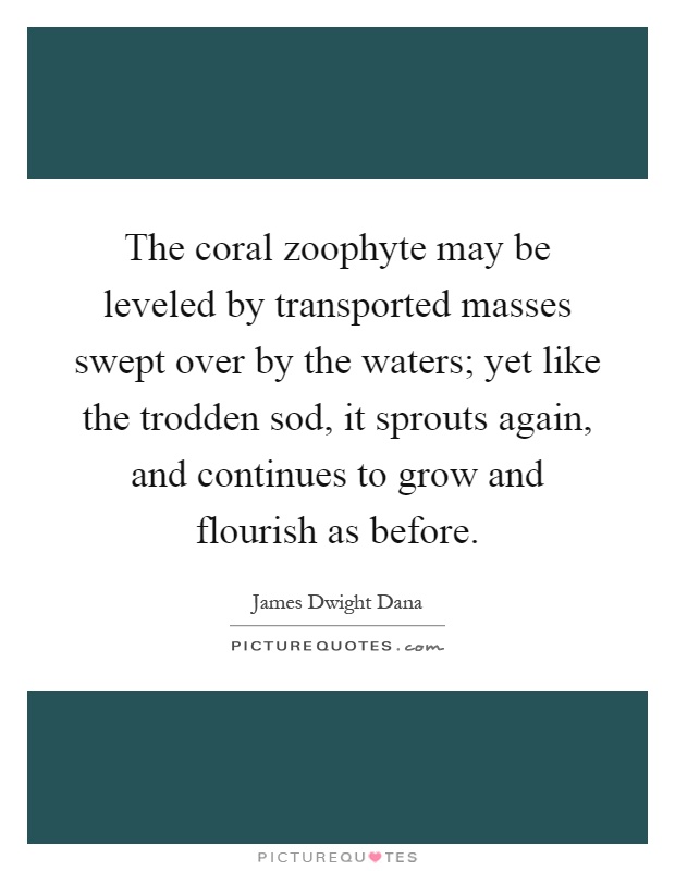 The coral zoophyte may be leveled by transported masses swept over by the waters; yet like the trodden sod, it sprouts again, and continues to grow and flourish as before Picture Quote #1