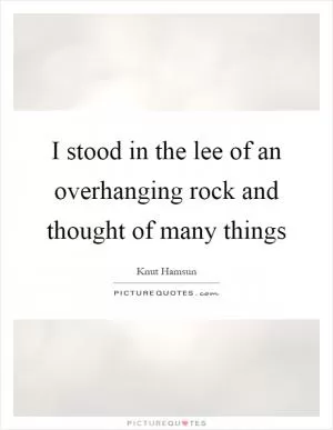 I stood in the lee of an overhanging rock and thought of many things Picture Quote #1