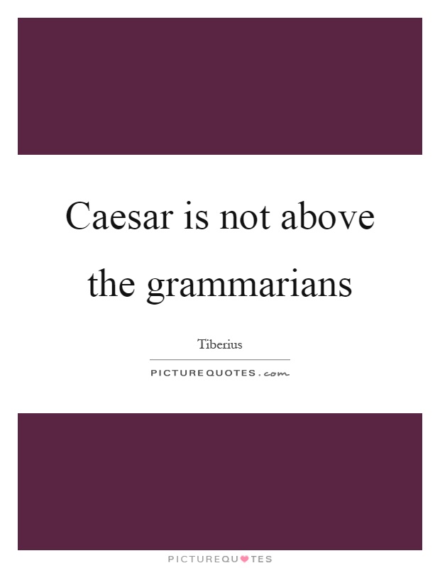 Caesar is not above the grammarians Picture Quote #1