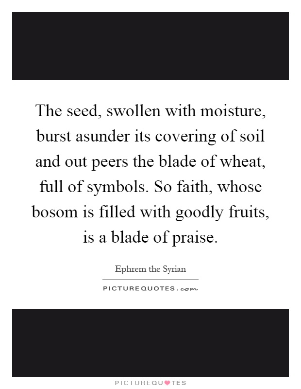The seed, swollen with moisture, burst asunder its covering of soil and out peers the blade of wheat, full of symbols. So faith, whose bosom is filled with goodly fruits, is a blade of praise Picture Quote #1