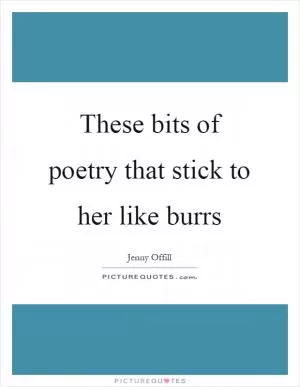 These bits of poetry that stick to her like burrs Picture Quote #1