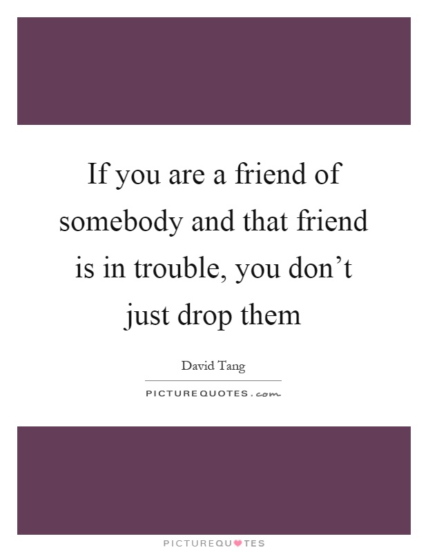 If you are a friend of somebody and that friend is in trouble, you don't just drop them Picture Quote #1