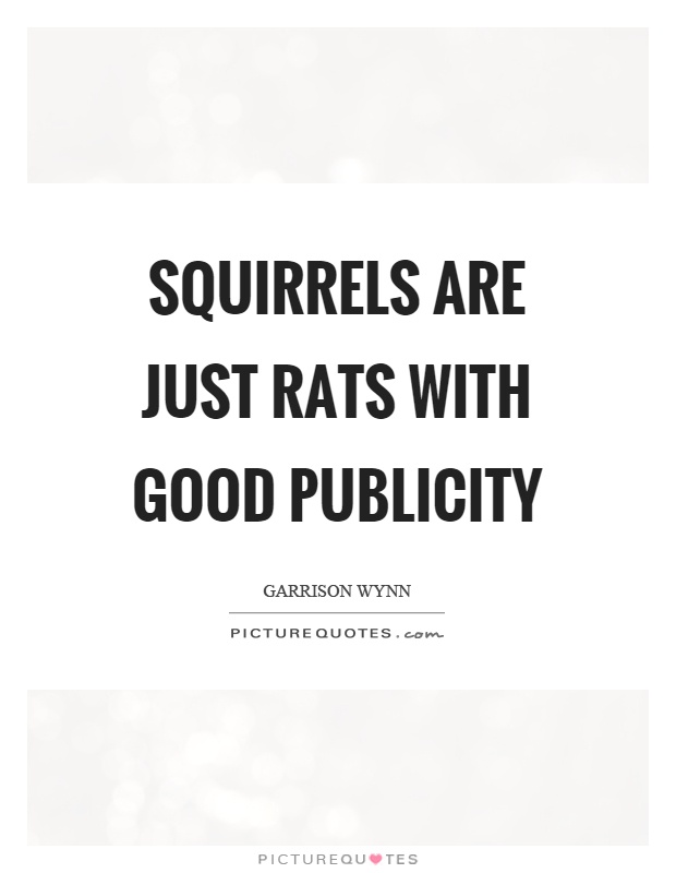 Squirrels are just rats with good publicity Picture Quote #1