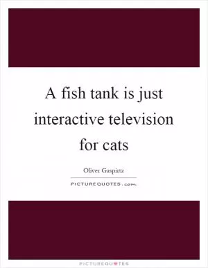 A fish tank is just interactive television for cats Picture Quote #1