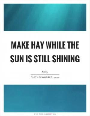 Make hay while the sun is still shining Picture Quote #1