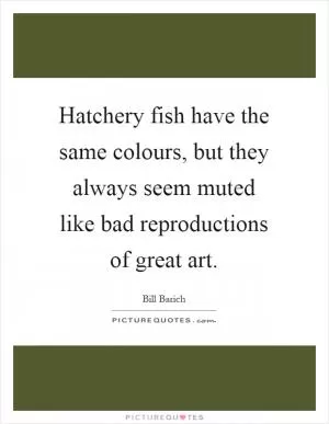 Hatchery fish have the same colours, but they always seem muted like bad reproductions of great art Picture Quote #1
