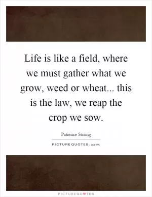 Life is like a field, where we must gather what we grow, weed or wheat... this is the law, we reap the crop we sow Picture Quote #1