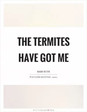 The termites have got me Picture Quote #1