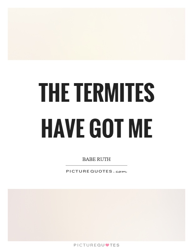 The termites have got me Picture Quote #1