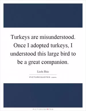 Turkeys are misunderstood. Once I adopted turkeys, I understood this large bird to be a great companion Picture Quote #1