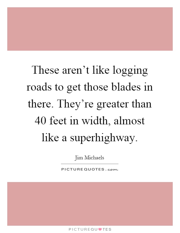 These aren't like logging roads to get those blades in there. They're greater than 40 feet in width, almost like a superhighway Picture Quote #1