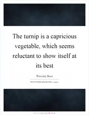 The turnip is a capricious vegetable, which seems reluctant to show itself at its best Picture Quote #1