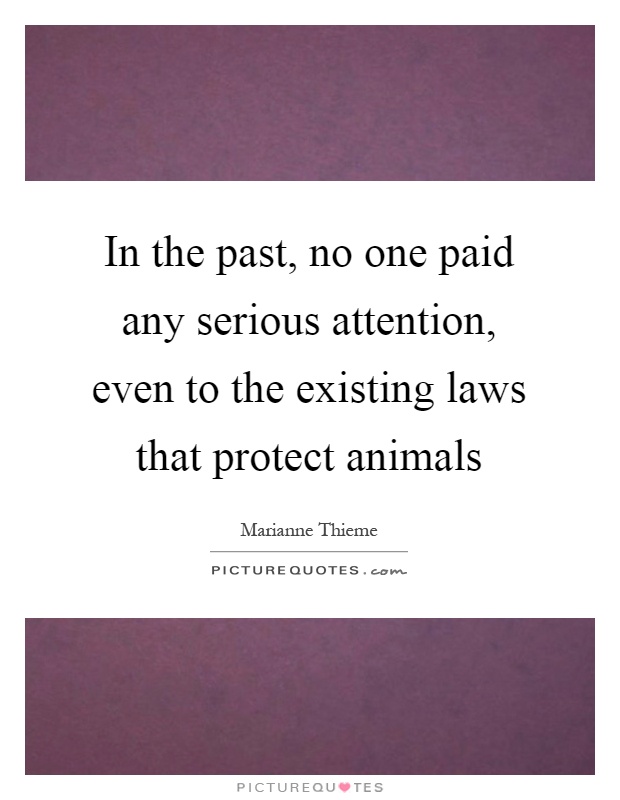In the past, no one paid any serious attention, even to the existing laws that protect animals Picture Quote #1