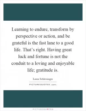 Learning to endure, transform by perspective or action, and be grateful is the fast lane to a good life. That’s right. Having great luck and fortune is not the conduit to a loving and enjoyable life; gratitude is Picture Quote #1